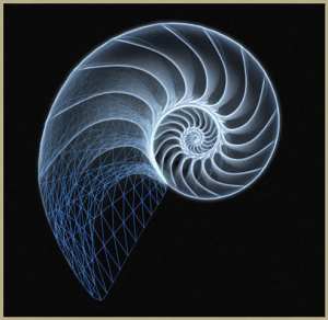 Imagen de una concha de nautilus, ejemplo de la sucesión de Fibonacci